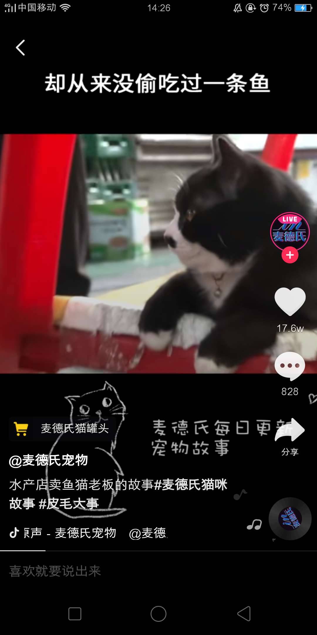 抖音拍宠物